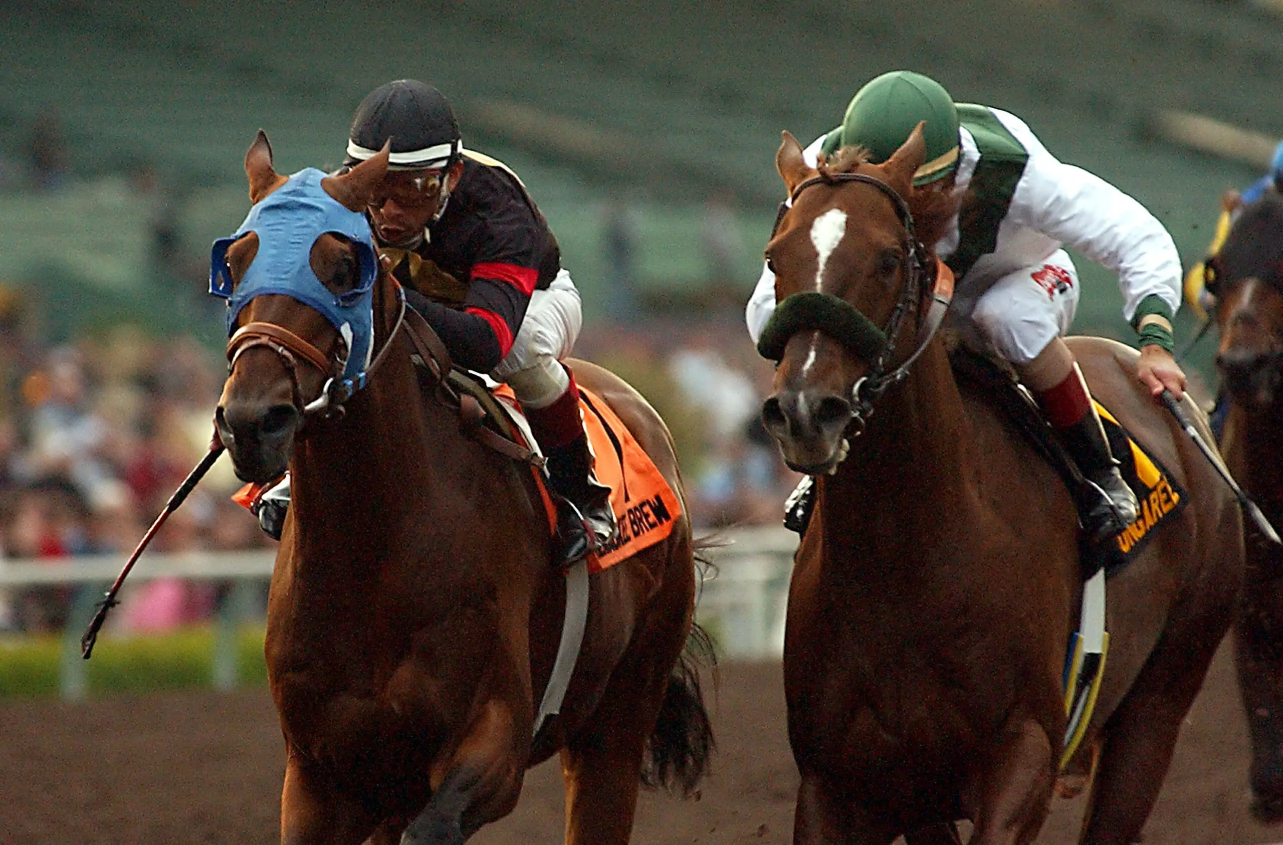 The Thrill of the Track Exploring the Exciting World of Horse Racing